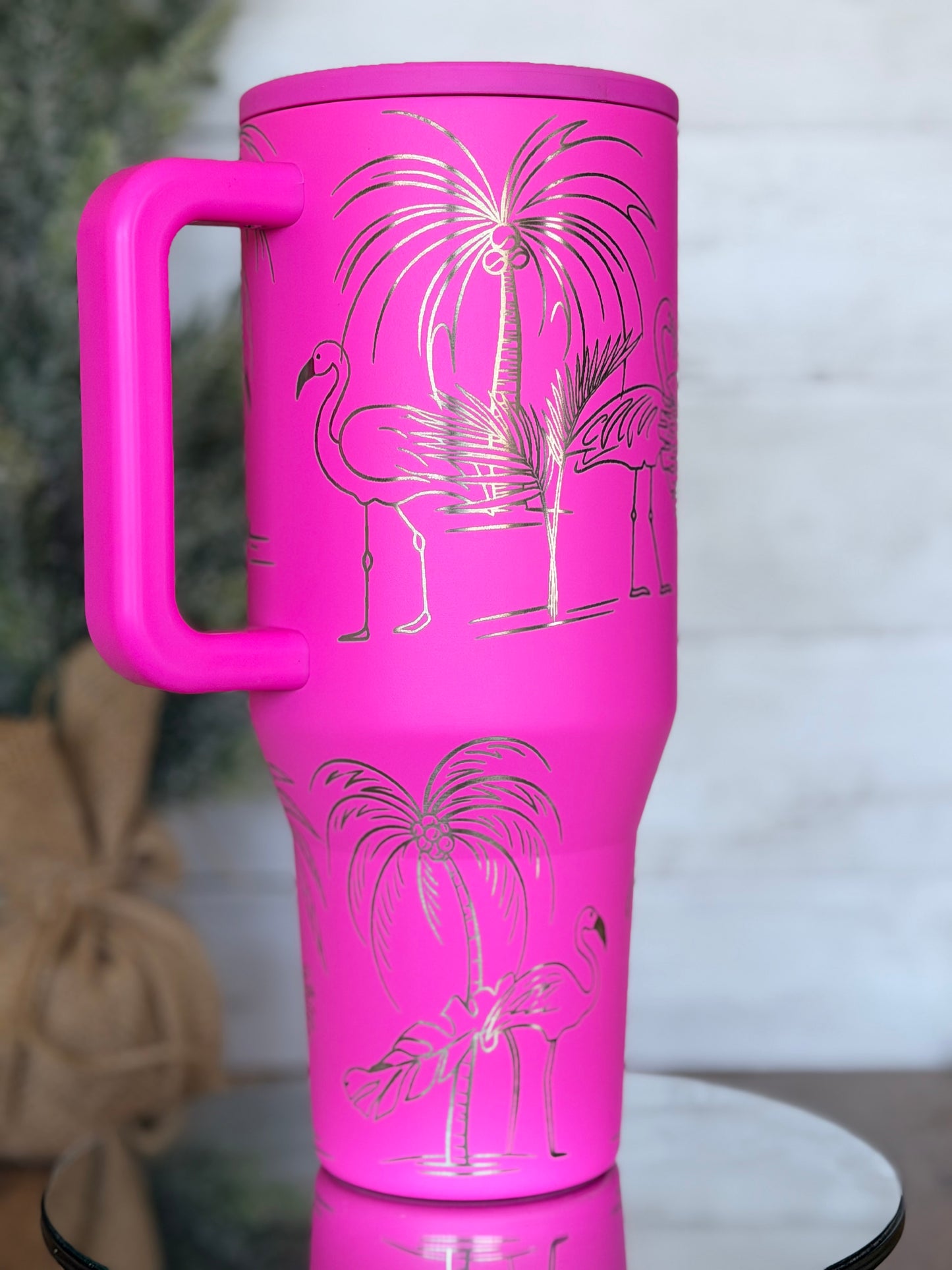 Flamingos 🦩