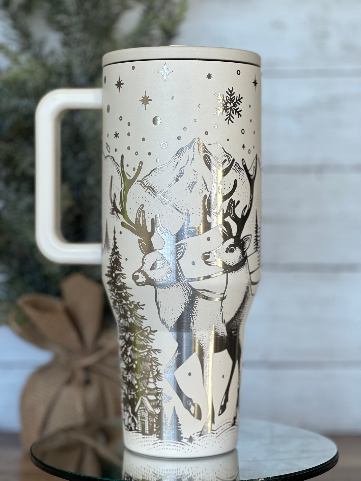 Santa/Reindeer π
πΌ