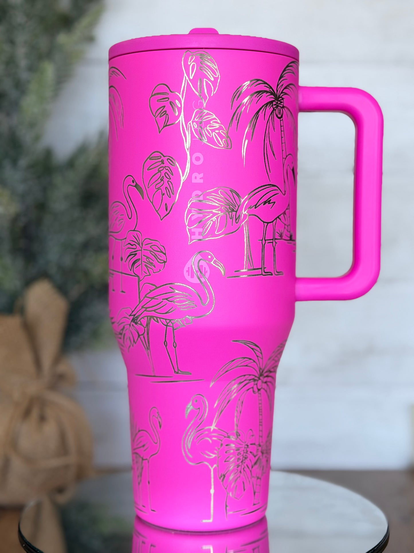 Flamingos 🦩