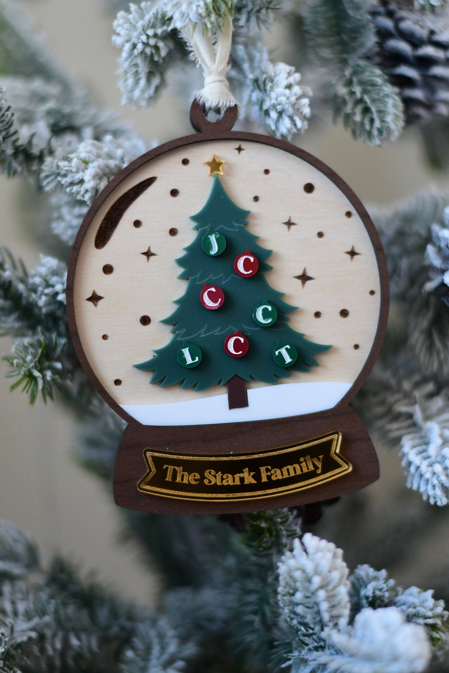 Family Snow Globe❄️