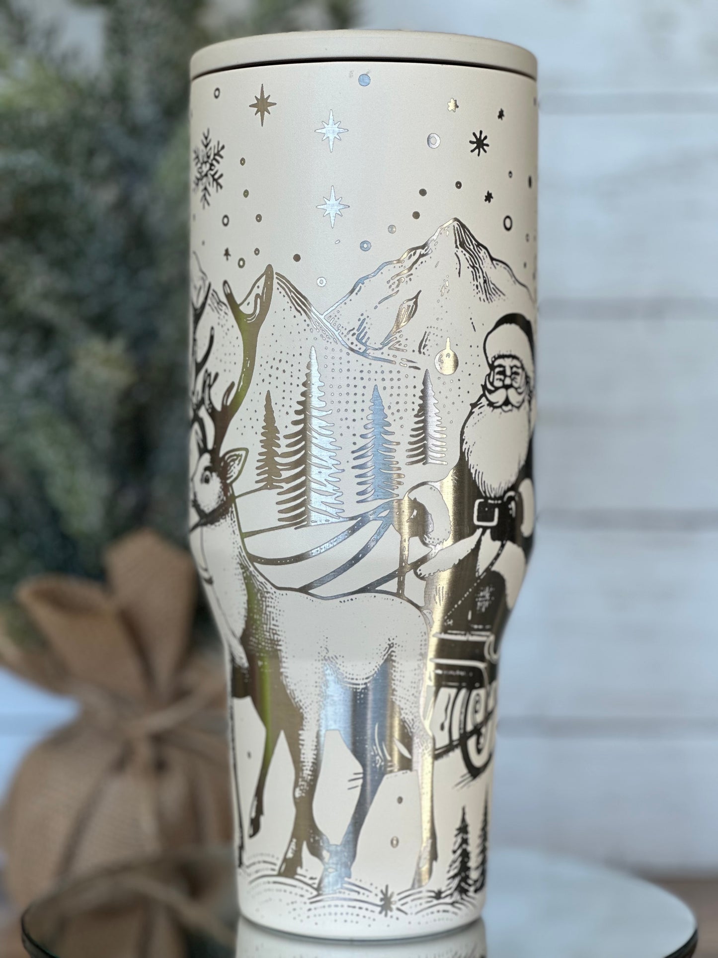 Santa/Reindeer 🎅🏼