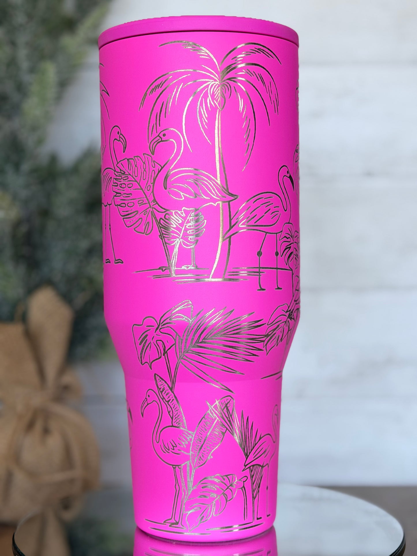 Flamingos 🦩